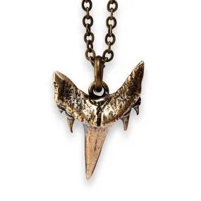 Fossilized Shark Tooth Necklace